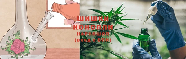 каннабис Аркадак